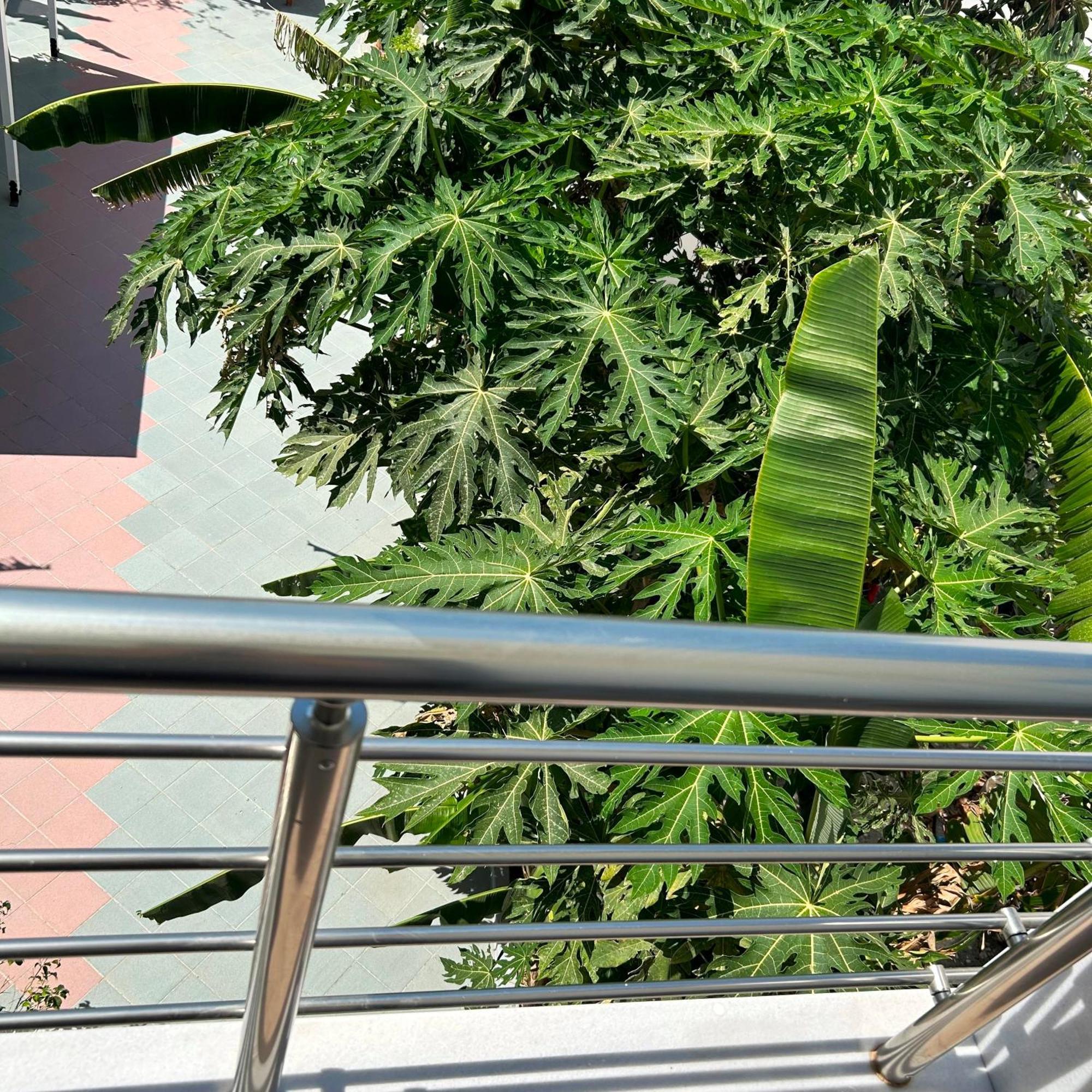 Sea Breeze Hotel マスティハリ エクステリア 写真